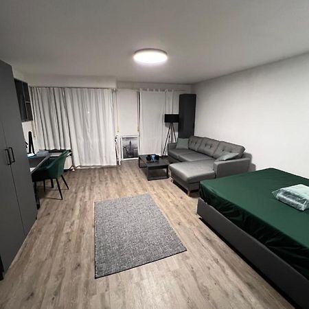 Business Apartment קרלסרוהה מראה חיצוני תמונה